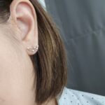 12 Zodiac Earrings